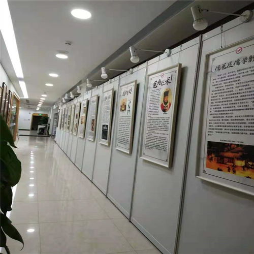 深圳展板出租價格及網(wǎng)絡(luò)科技領(lǐng)域技術(shù)開發(fā)支持服務(wù)概覽